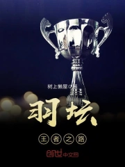 羽坛——王者之路