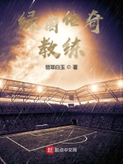 绿茵传奇教练