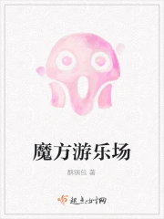 魔方游乐场