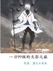 一刀99级的火影之旅