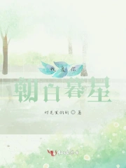 我爱你朝白暮星