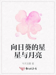 向日葵的星星与月亮