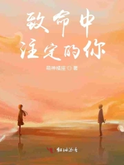 致命中注定的你
