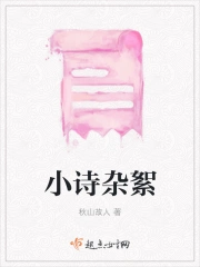小诗杂絮