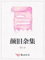颜旧杂集