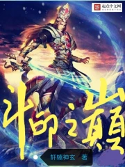 斗印之巅