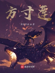 方寸莲