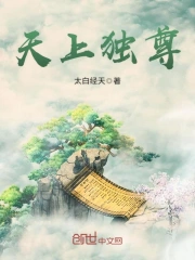 天上独尊