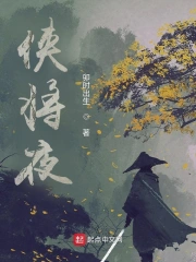 侠将夜