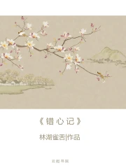 错心记