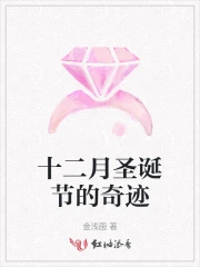 十二月圣诞节的奇迹