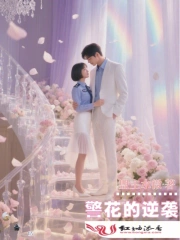 警花的逆袭