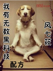 我有无数黑科技配方