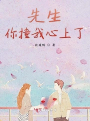 先生你撞我心上了