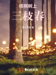 梧桐树上三枝春