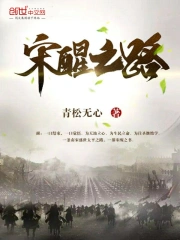 宋醒之路