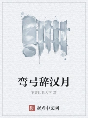 弯弓辞汉月