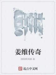 姜维传奇