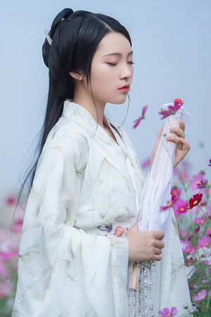 疯狂的猪妖