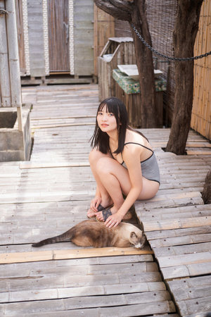 和福尔摩斯一起探案的那些年