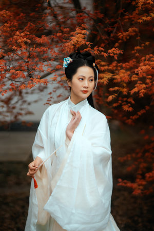 月光沉醉的晚上