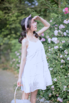 火引冰薪佚时情