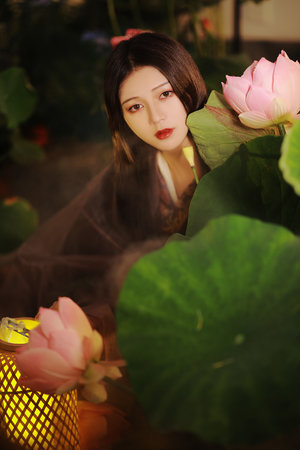 红尘落芳州